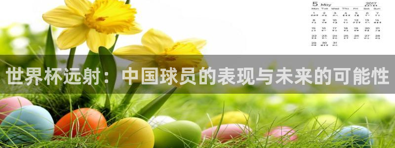 看世界杯：世界杯远射：中国球员的表现与未来的可能性
