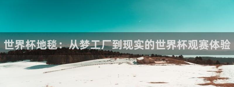 2026世界杯亚洲预选赛：世界杯地毯：从梦工厂到现实的世界杯观赛体验