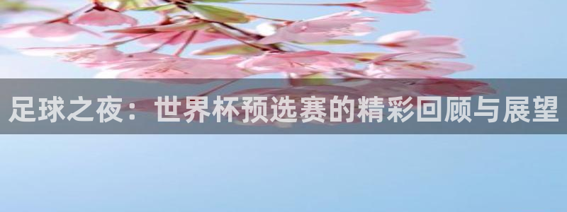 世界杯亚洲预选赛18强赛程：足球之夜：世界杯预选赛的精彩回顾与展望