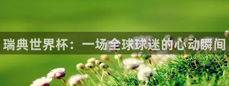 今年的世界杯：瑞典世界杯：一场全球球迷的心动瞬间