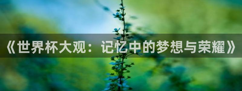 世界杯 直播：《世界杯大观：记忆中的梦想与荣耀》