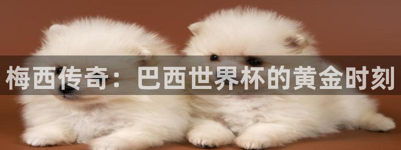 世界杯预选赛亚洲：梅西传奇：巴西世界杯的黄金时刻