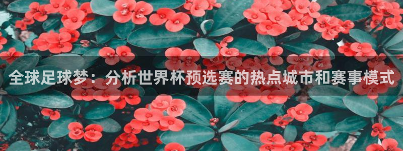 世界杯比赛：全球足球梦：分析世界杯预选赛的热点城市和赛事模式