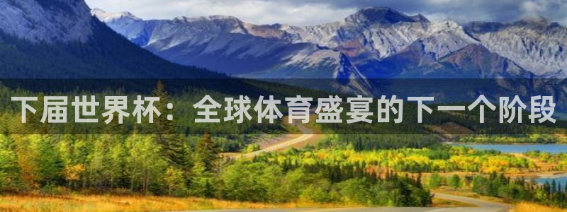 世界杯在线直播：下届世界杯：全球体育盛宴的下一个阶段