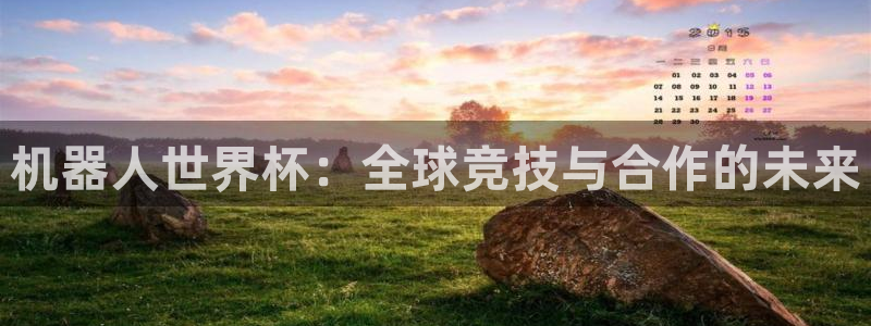 世界杯直播高清：机器人世界杯：全球竞技与合作的未来