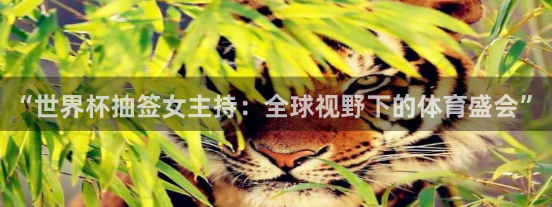 世界杯预选赛规则：“世界杯抽签女主持：全球视野下的体育盛会”