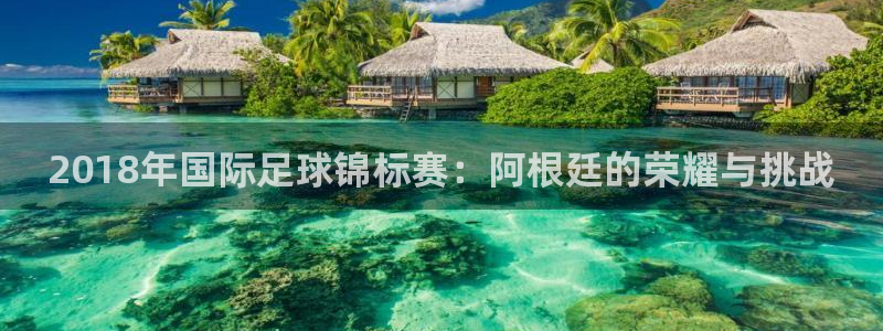 2026世界杯赛制：2018年国际足球锦标赛：阿根廷的荣耀与挑战