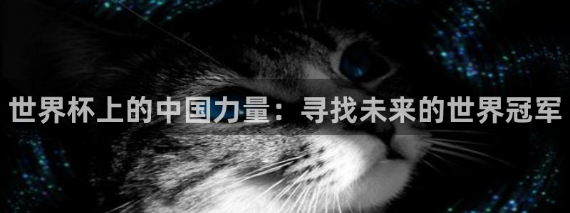 2026年足球世界杯赛程时间表：世界杯上的中国力量：寻找未来的世界冠军